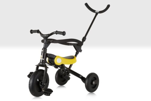 Multifunctional Children's Tricycle main