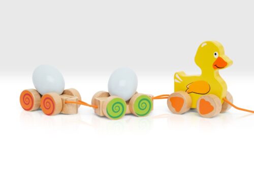 Duck and Egg Pull Along Toy