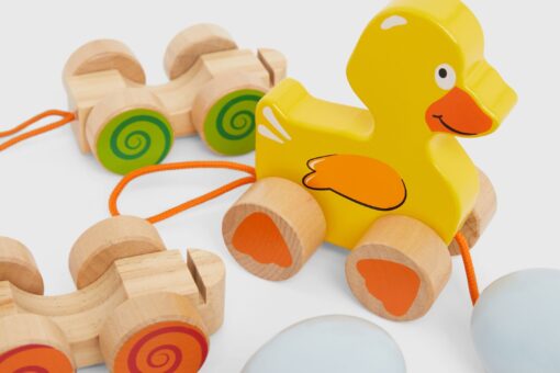 Duck and Egg Pull Along Toy