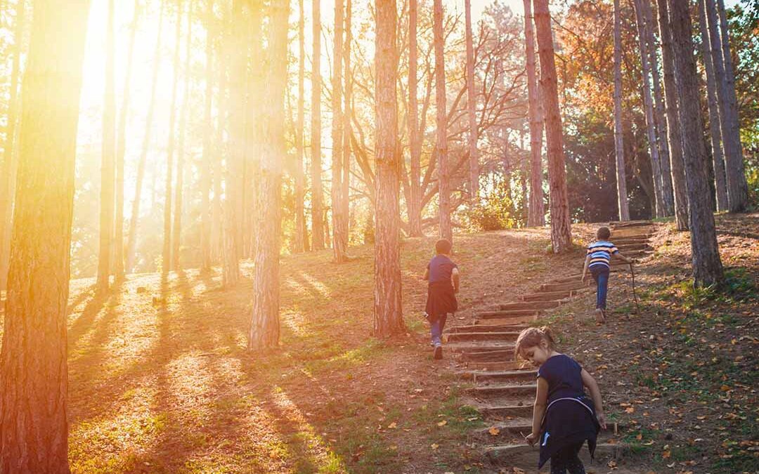 Beehive’s Guide to Keeping Your Little Adventurers Entertained on Family Walks
